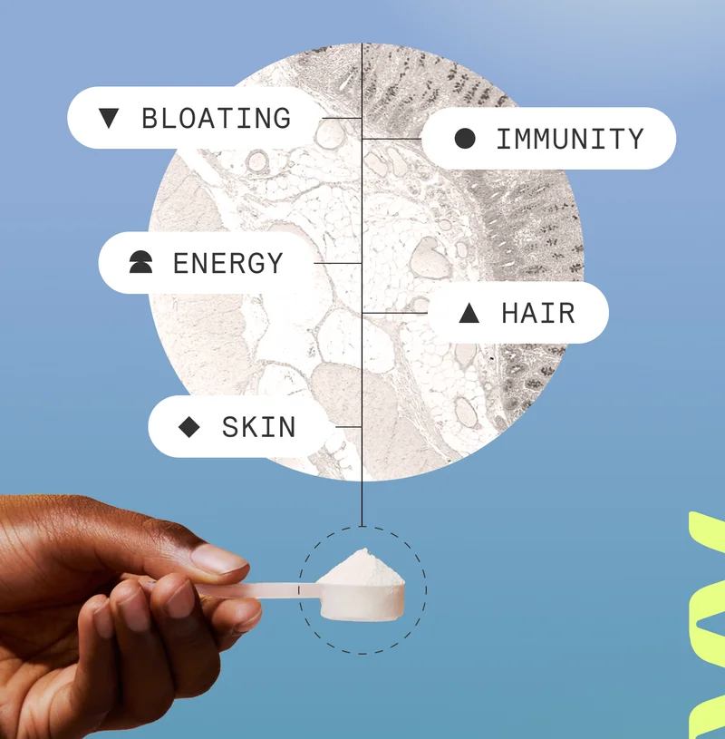Bloating, Immunity, Energy, Hair and Skin