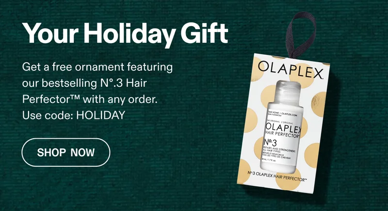 Your Holiday Gift | Shop Now
