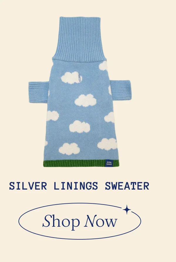 Silver linings sweater