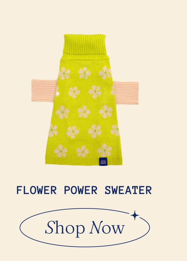 Flower power sweater