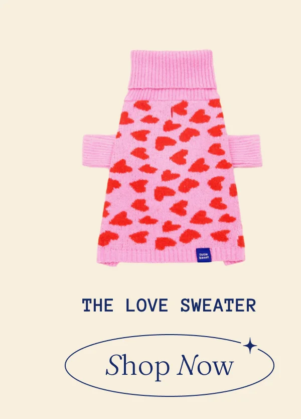 The love sweater