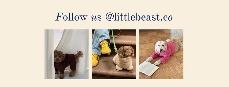 Follow us on Instagram