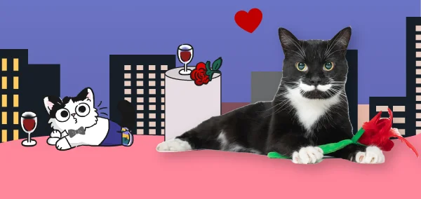 Image of a black and white cat holding the Cat-chelor rose toy, in front of a night skyline background