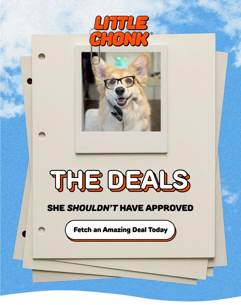 THE DEALS SHE SHOULDN’T HAVE APPROVED