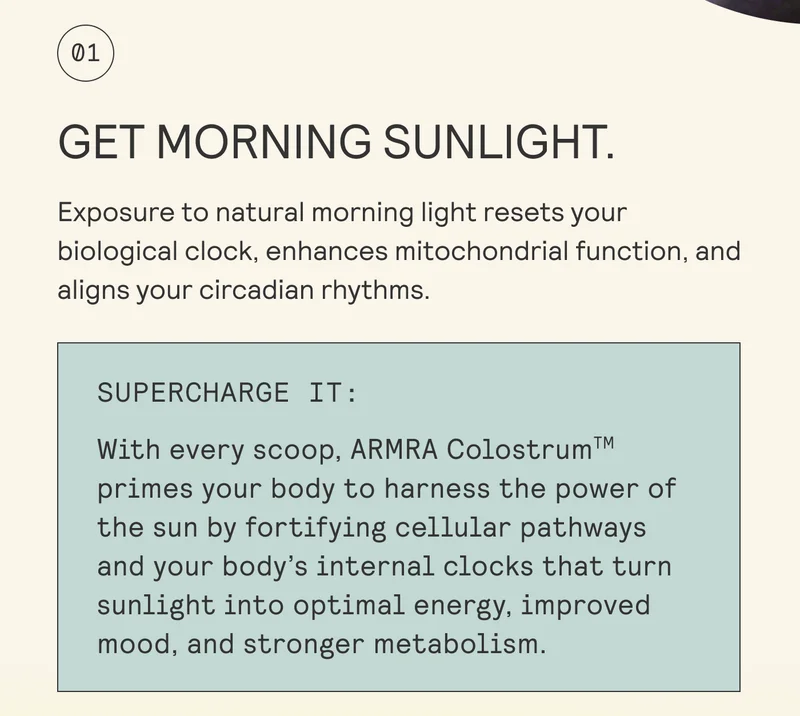 GET MORNING SUNLIGHT. Exposure to natural morning light resets your  biological clock, enhances mitochondrial function, and aligns your circadian rhythms.