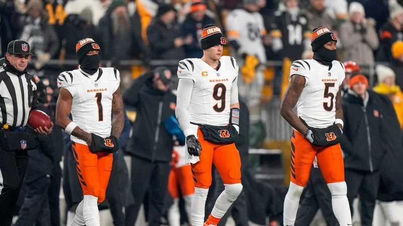Joe Burrow says he hopes his comments didn't hold
