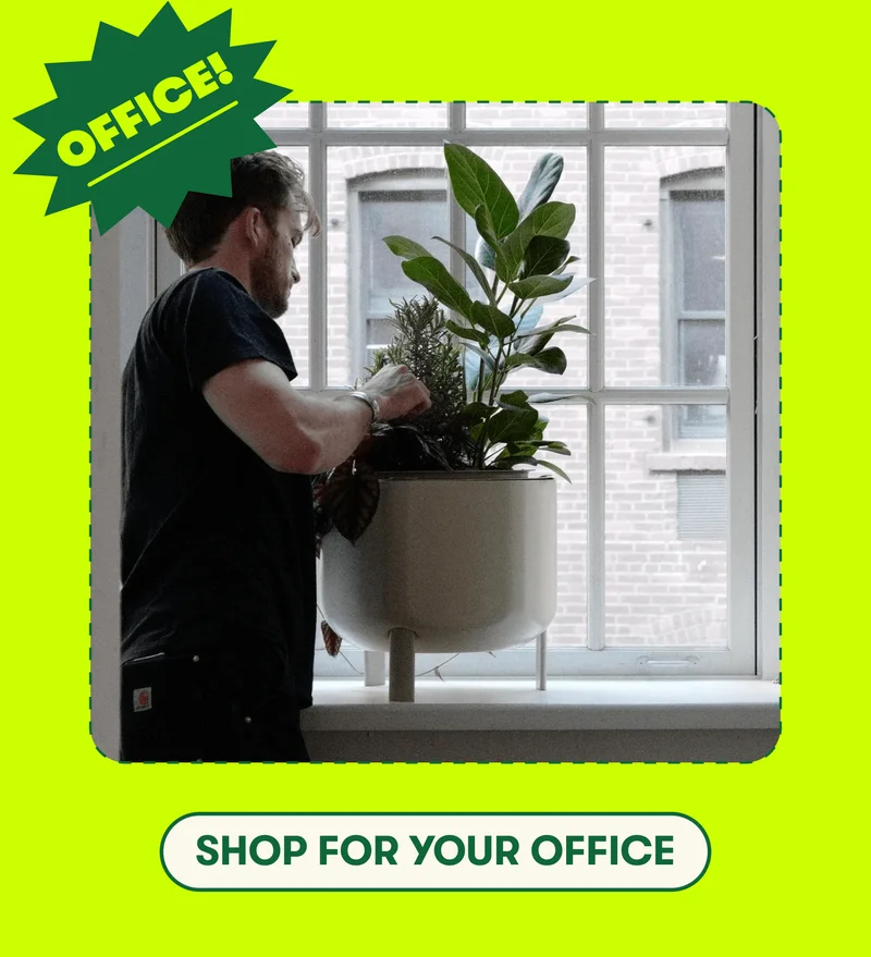 [SHOP FOR YOUR OFFICE]