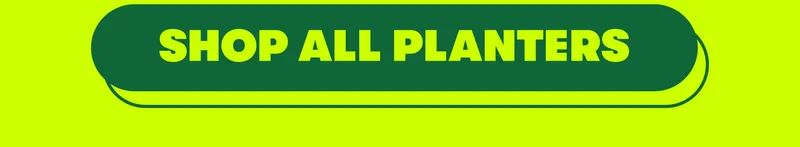 [SHOP ALL PLANTERS ]