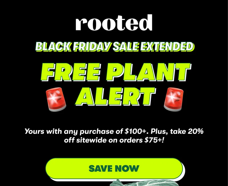 Black Friday Sale Extended Free Plant Alert  Yours with any purchase of $100+. Plus, take 20% off sitewide on orders $75+!  [SAVE NOW]