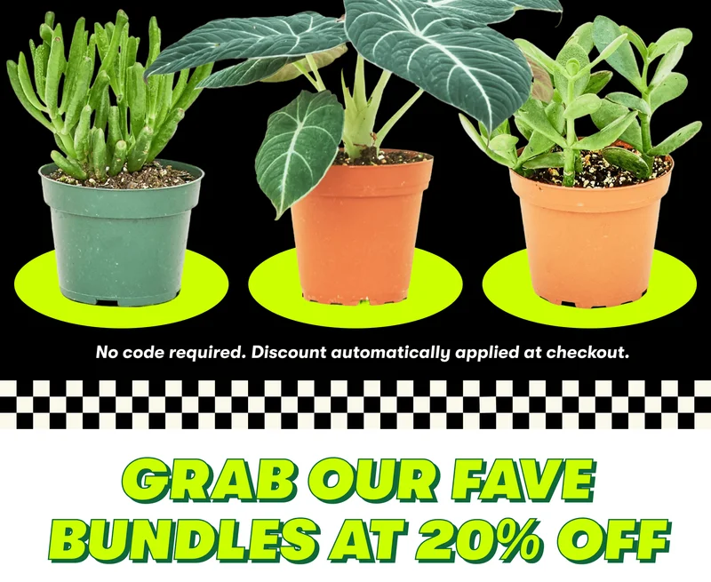 No code required. Discount automatically applied at checkout.  GRAB OUR FAVE BUNDLES AT 20% off