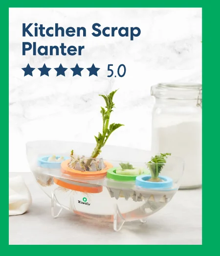 A charming DIY project featuring glass jars with plants sprouting from kitchen scraps, labeled ''Kitchen Scrap Planter – ★★★★★ 5.0''.