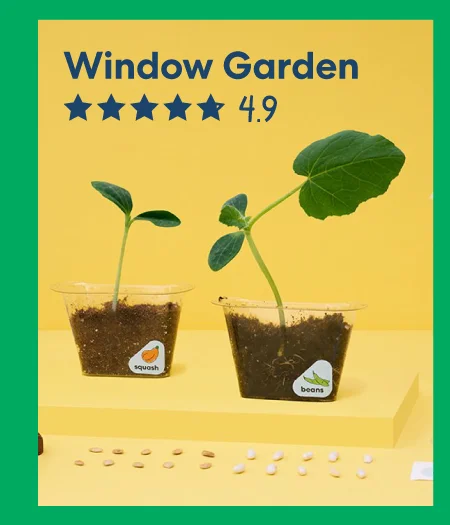 A wooden window garden kit featuring small plant sprouts growing in eco-friendly containers, labeled ''Window Garden – ★★★★☆ 4.9''.