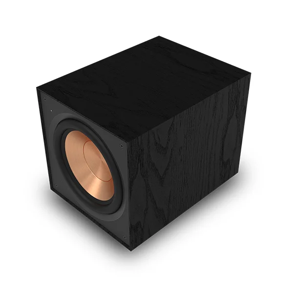 R-101SW 10” Subwoofer