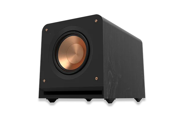 RP-1000SW 10” Subwoofer