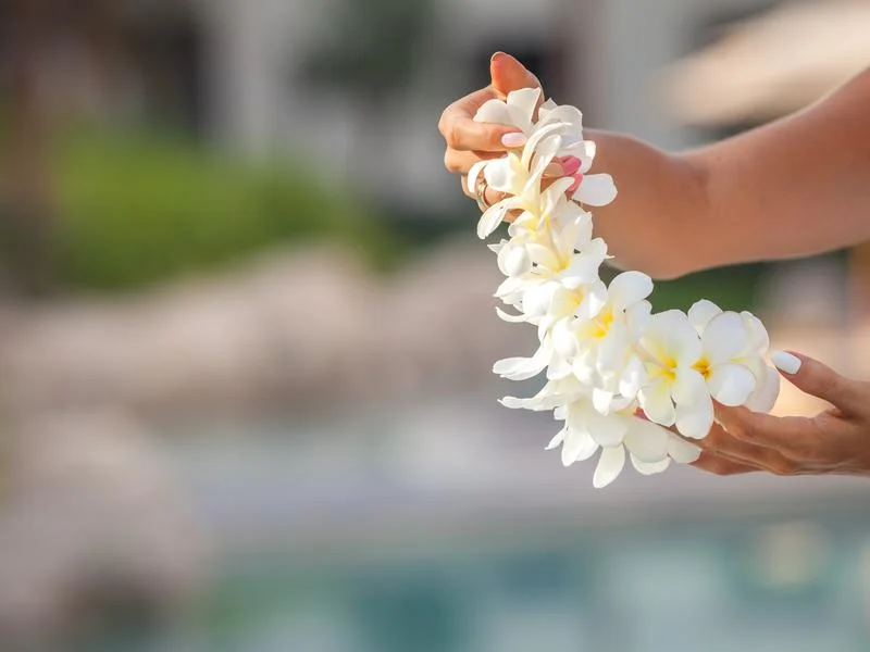 Hawaii woman showing flower lei garland of white plumeria flowers.