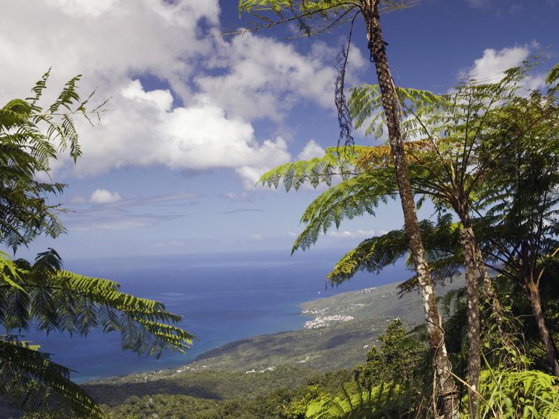 Guadeloupe National Park