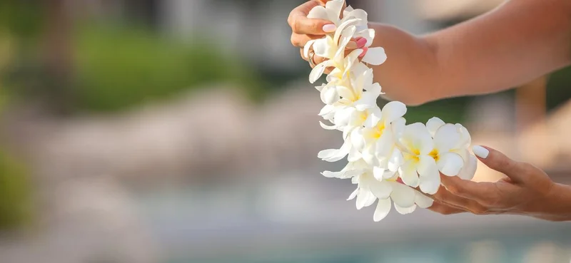 Hawaii woman showing flower lei garland of white plumeria flowers.