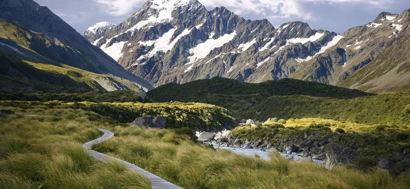 A foot trail leading to the base of Mt. Cook