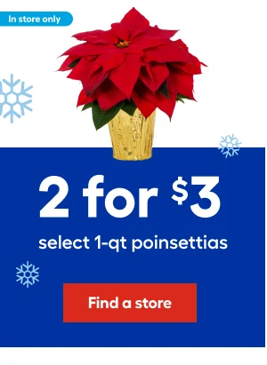2 for $3  select 1-qt poinsettias