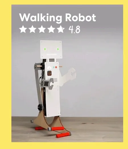 Walking Robot