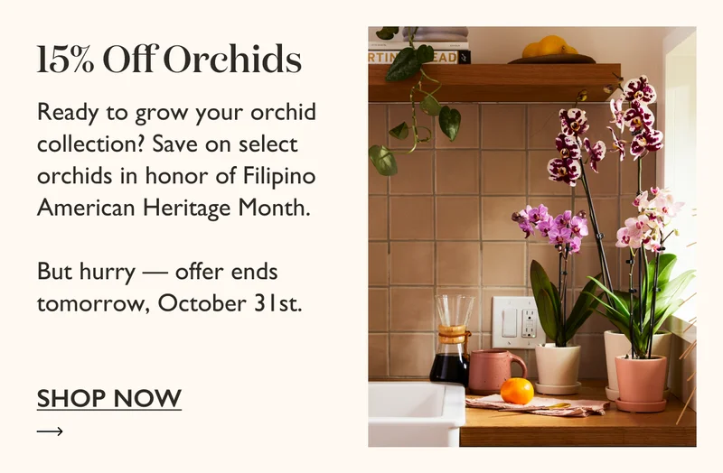 Ready to grow your orchid collection? Enjoy 15% off select orchids in honor of Filipino American Heritage Month. But hurry, offer ends tomorrow, October 31st.