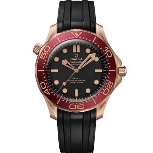 21092422001003 watch