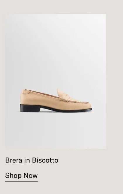 Brera in Biscotto-Shop Now