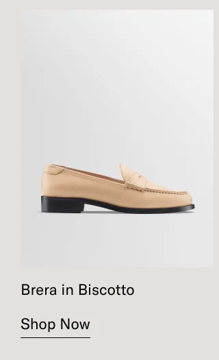 Brera in Biscotto-Shop Now