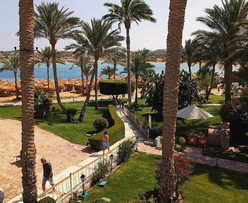 Image Description: A beachside hotel with a view of the water surrounded by palm trees.