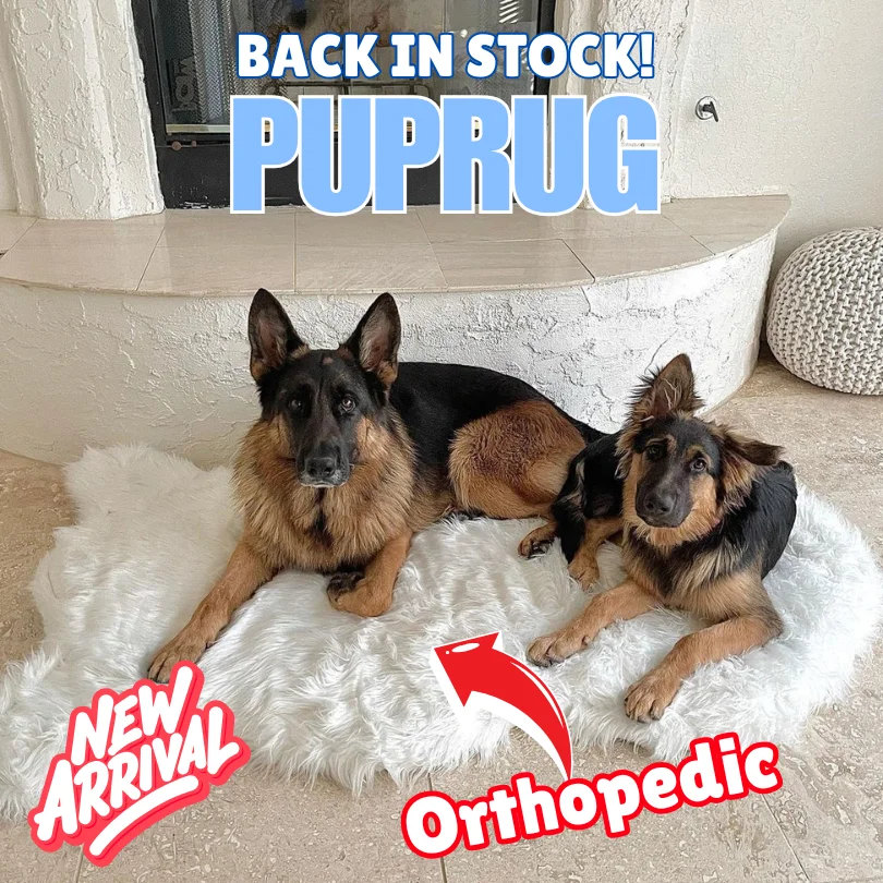 PupRug
