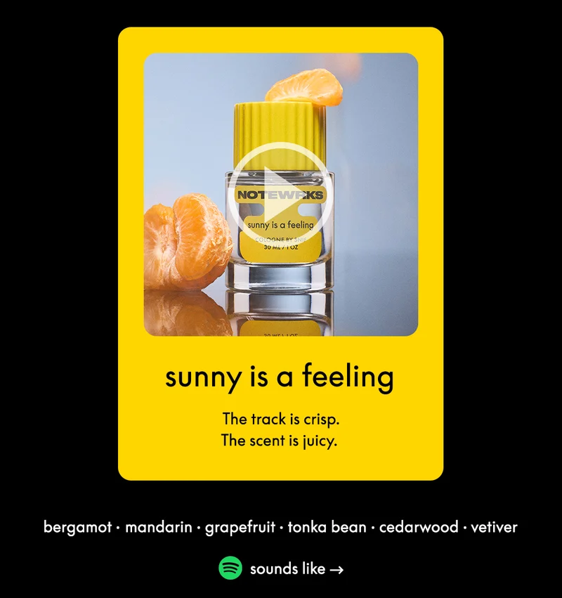 sunny is a feeling: bergamot • mandarin • grapefruit • tonka bean • cedarwood • vetiver. The track is crisp. The scent is juicy.