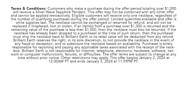 Promo Terms