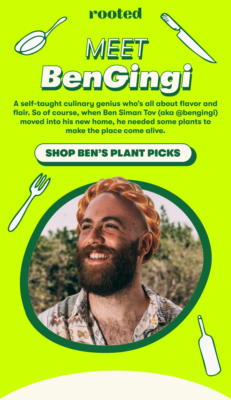 MEET BEN GINGI  A self-taught culinary genius who’s all about flavor and flair. So of course, when he moved into his new home, he needed some plants to make the place come alive: [SHOP BEN’S PLANT PICKS]