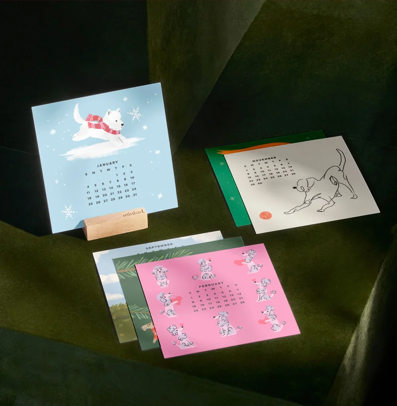 Bold & Bright Gifts