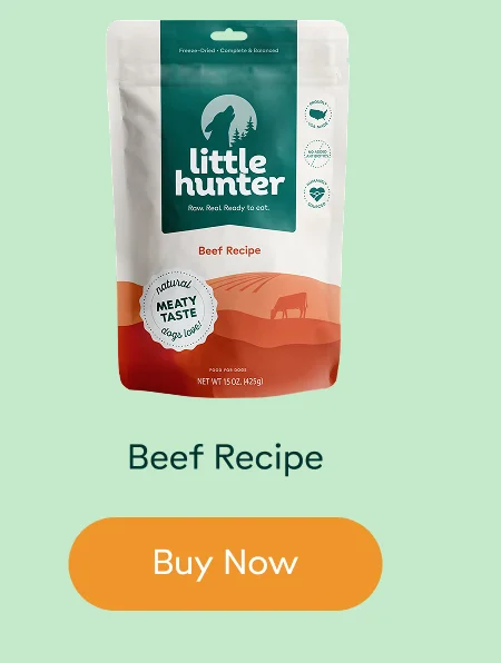 Beef Recipe