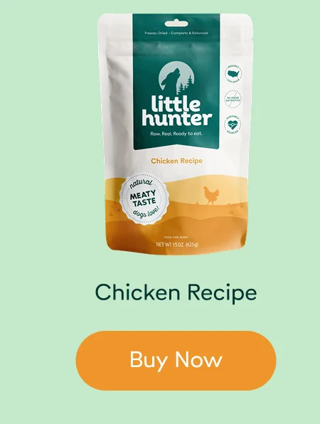 Chicken Recipe