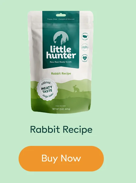 Rabbit Recipe