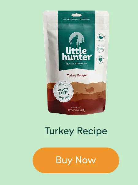 Turkey Recipe