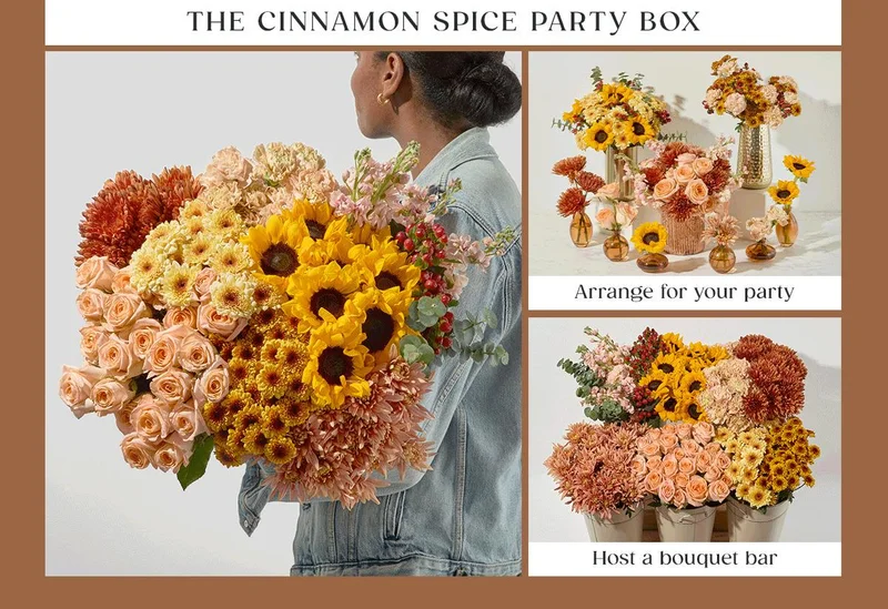 The Cinnamon Spice Party Box