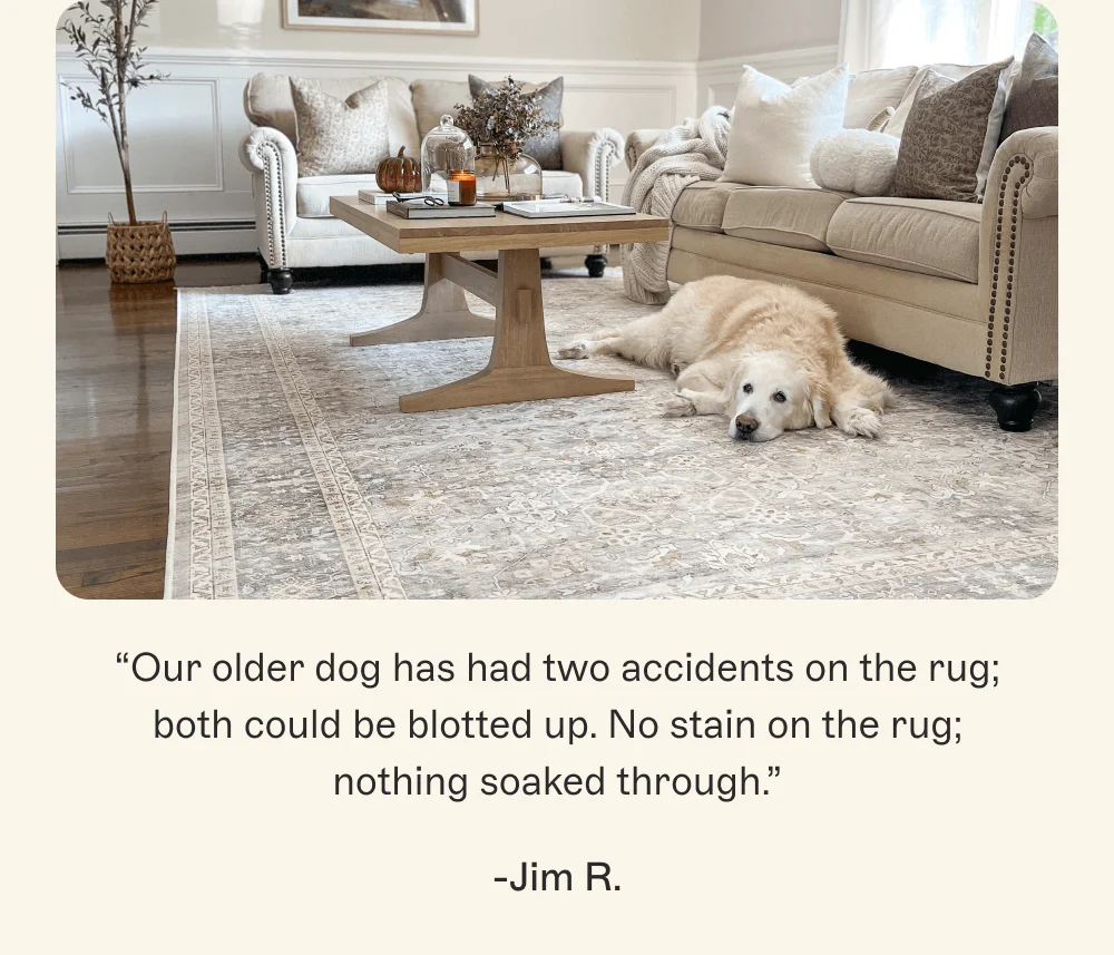 “Our older dog has had two accidents on the rug; both could be blotted up. No stain on the rug; nothing soaked through.” -Jim R.