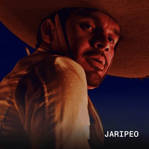 Gif of stills from the films, "JARIPEO, Kikuyu Land, and Soul Patrol."