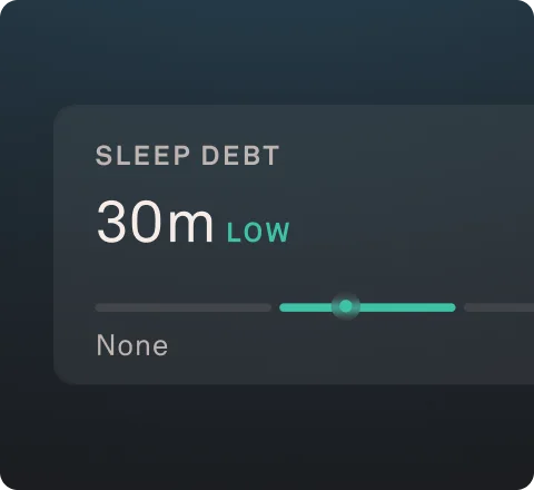 SLEEP DEBT