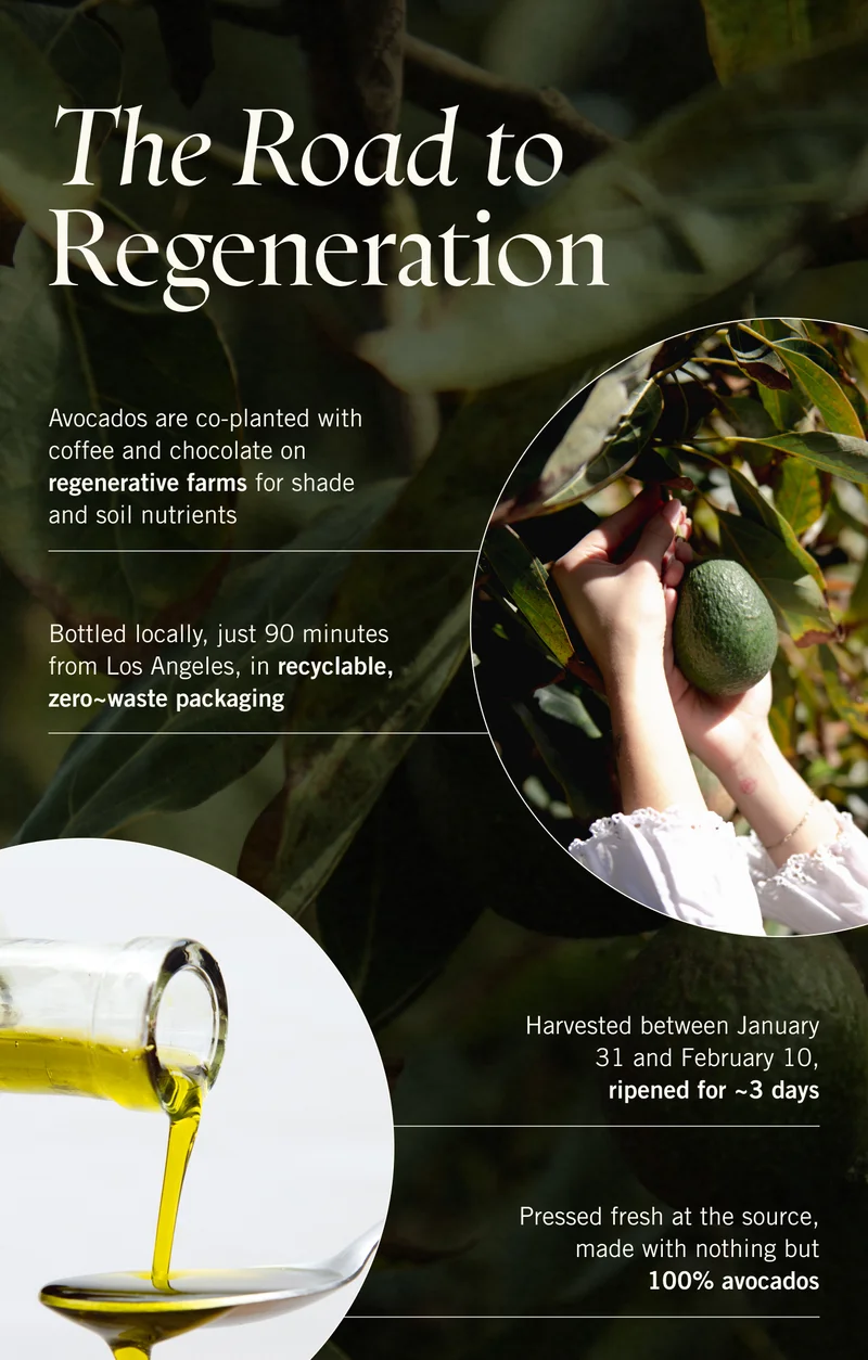 The Road to Regeneration. Avocados are co-planted with coffee and chocolate on regenerative farms for shade and soil nutrients | Bottled locally, just 90 minutes from Los Angeles, in recyclable, zero~waste packaging | Harvested between January 31 and February 10, ripened for ~3 days | Pressed fresh at the source, made with nothing but 100% avocados.