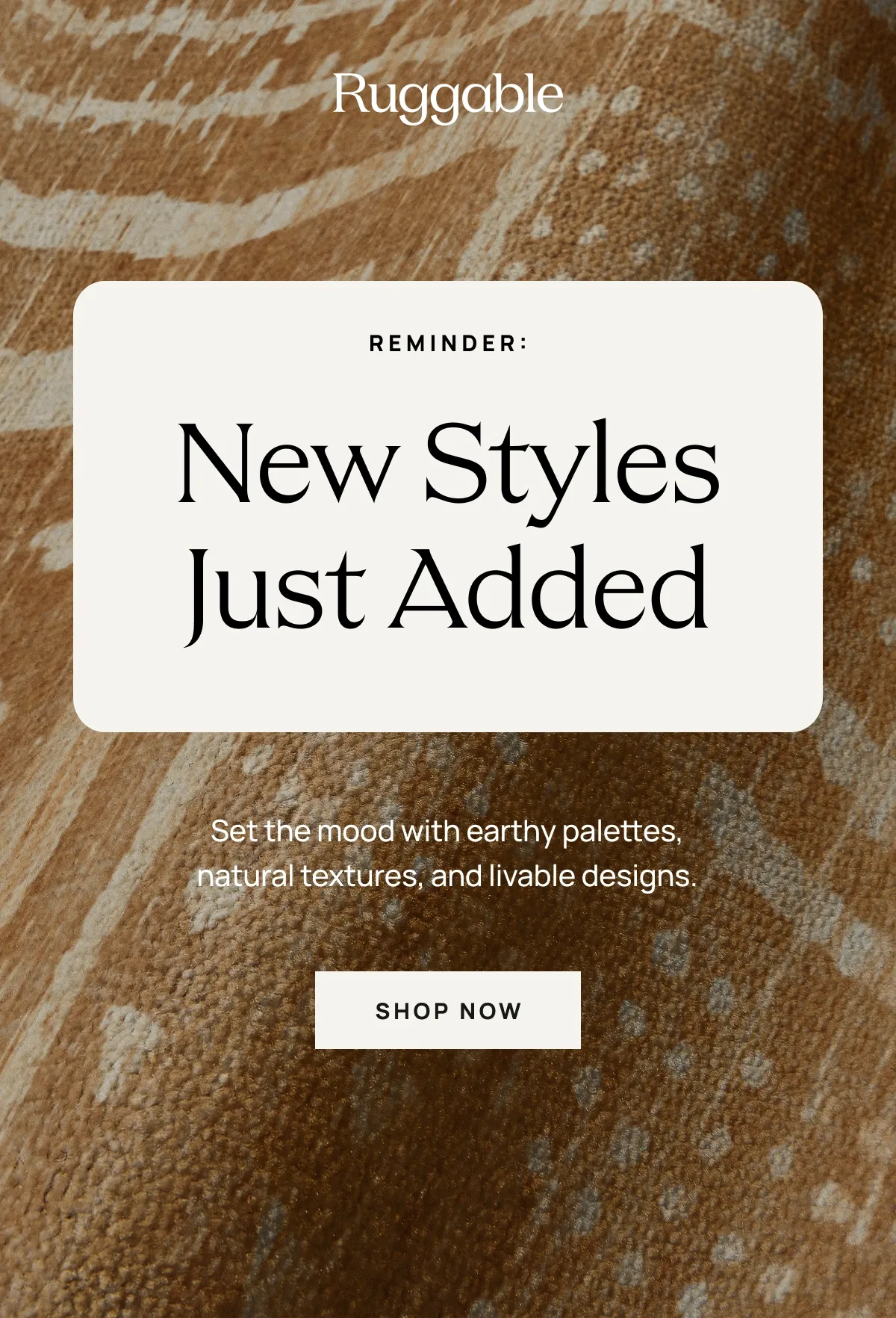 New Styles Just Added - Shop Now