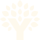 YNAB tree logo