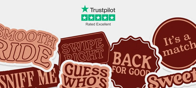 Trustpilot - Rated excellent!