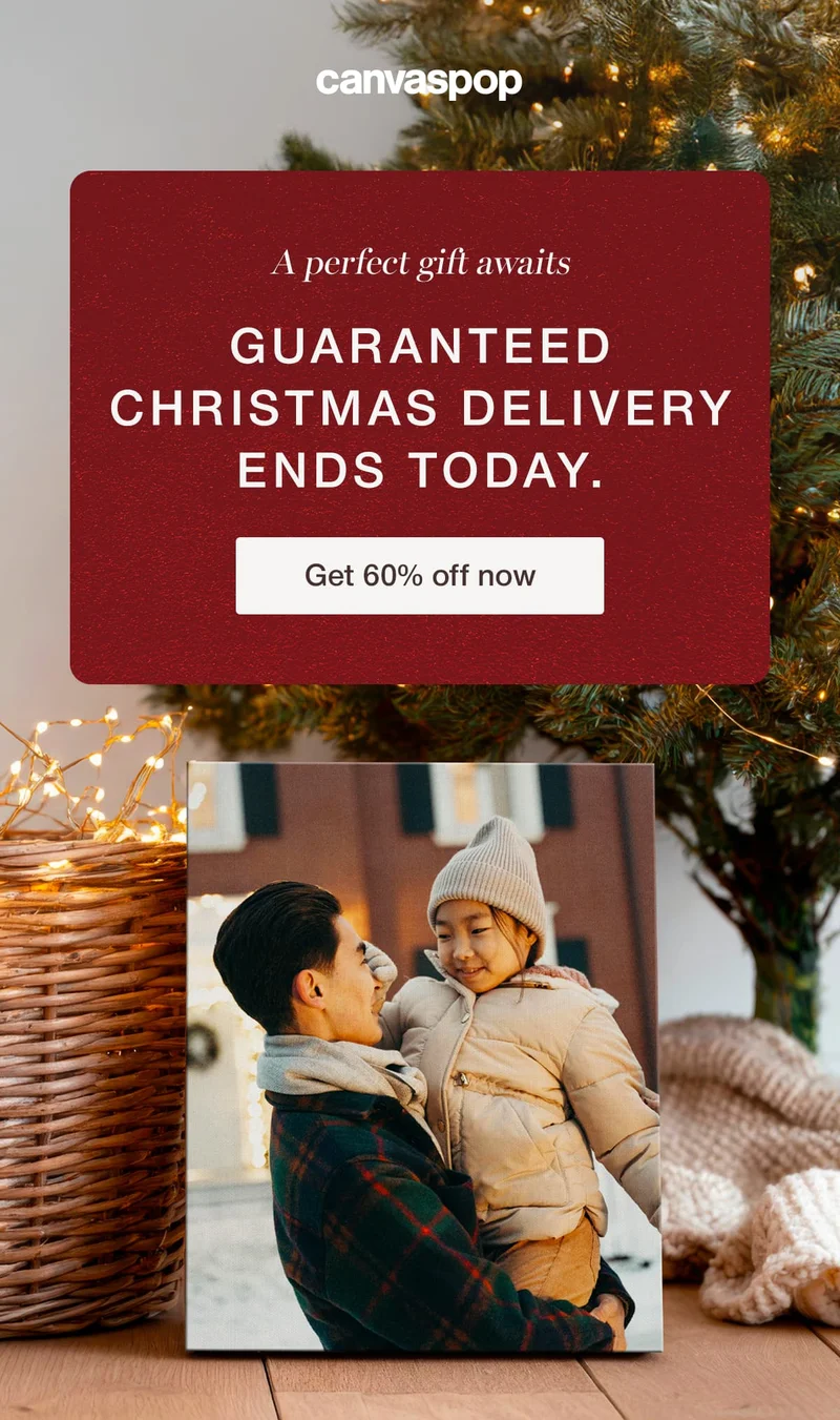 A perfect gift awaits. Guaranteed Christmas Delivery ends today. Get 60% off.