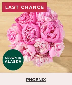 Flowers At a Great Price
