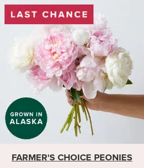Flowers At a Great Price