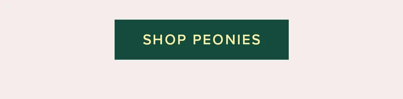 Shop Peonies